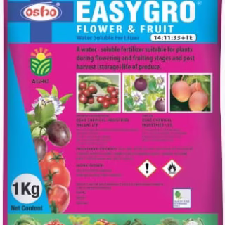 EASY GROW FLOWER AND FRUIT