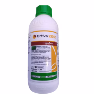 Ortiva