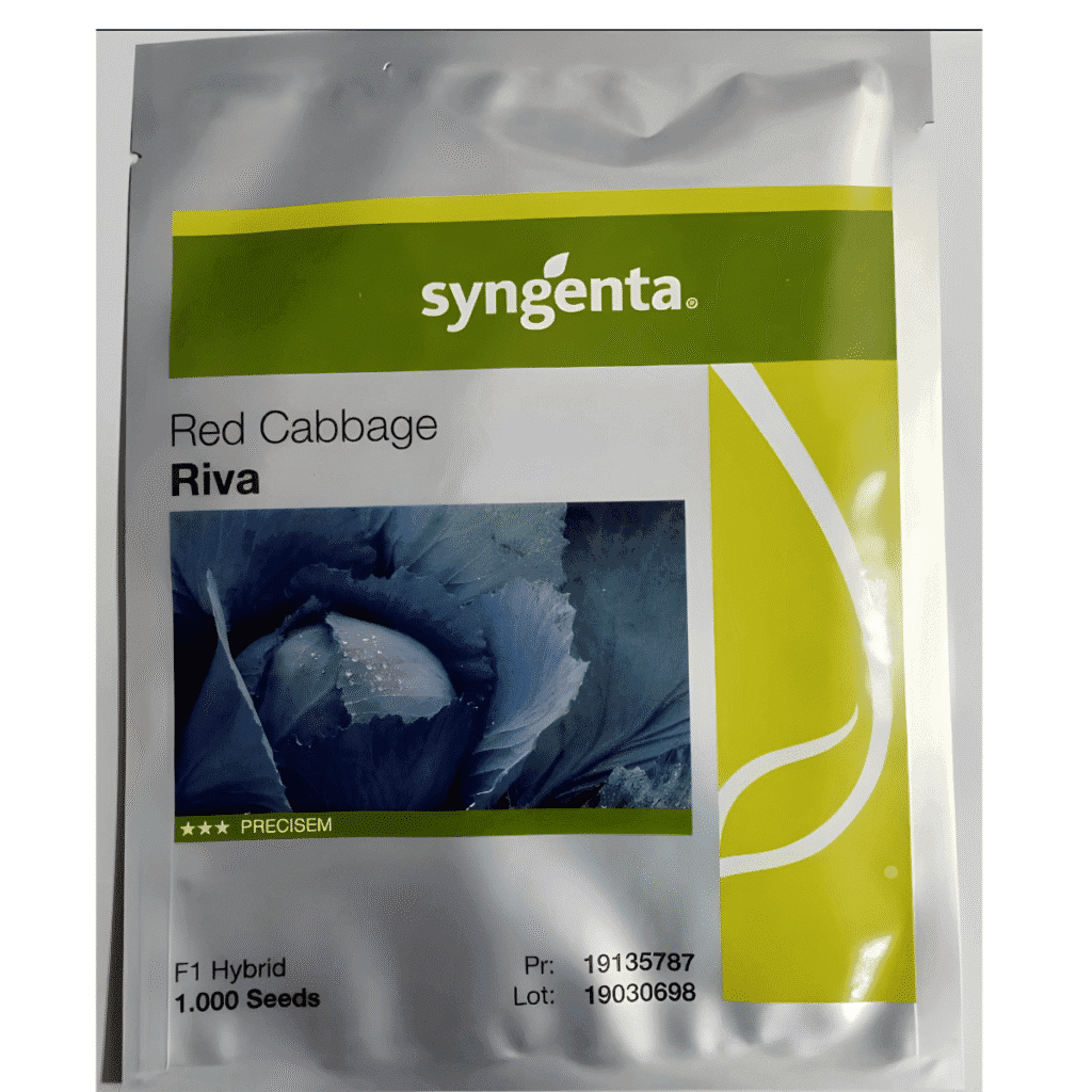 Riva
