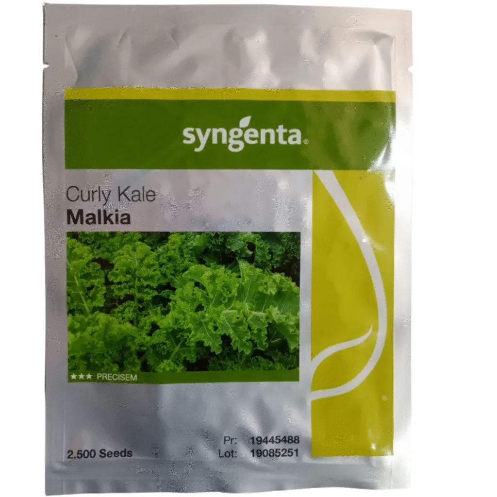 MALKIA CURLY KALE